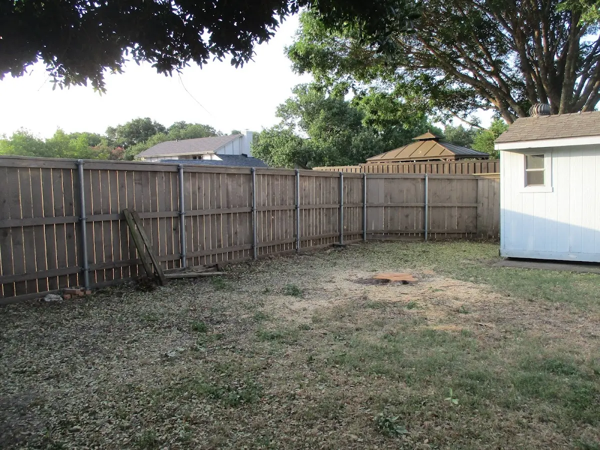 Cleared yard after professional tree removal in Edisto Island
